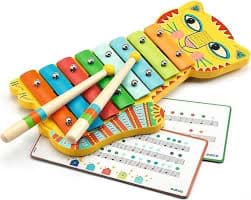 Djeco Ksilofon Kedi resmi