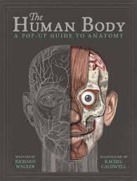 The Human Body Pop Up resmi