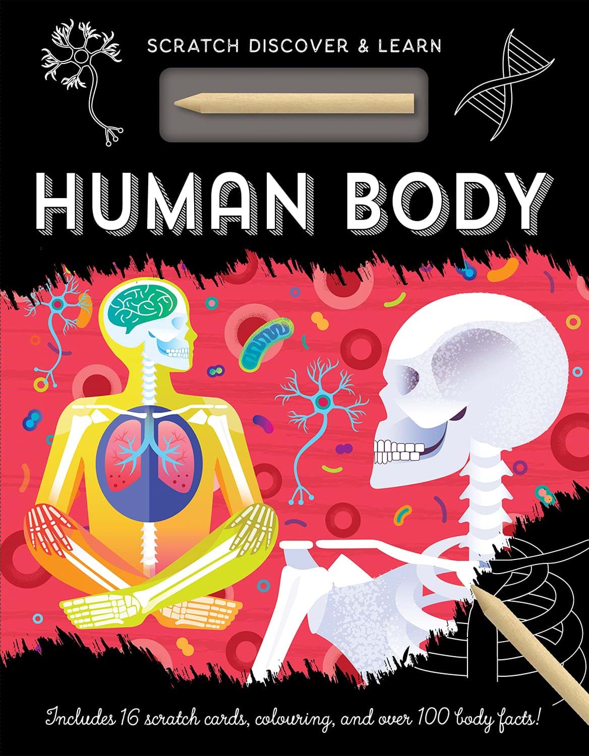 Human Body - Scratch, Discover And Learn resmi