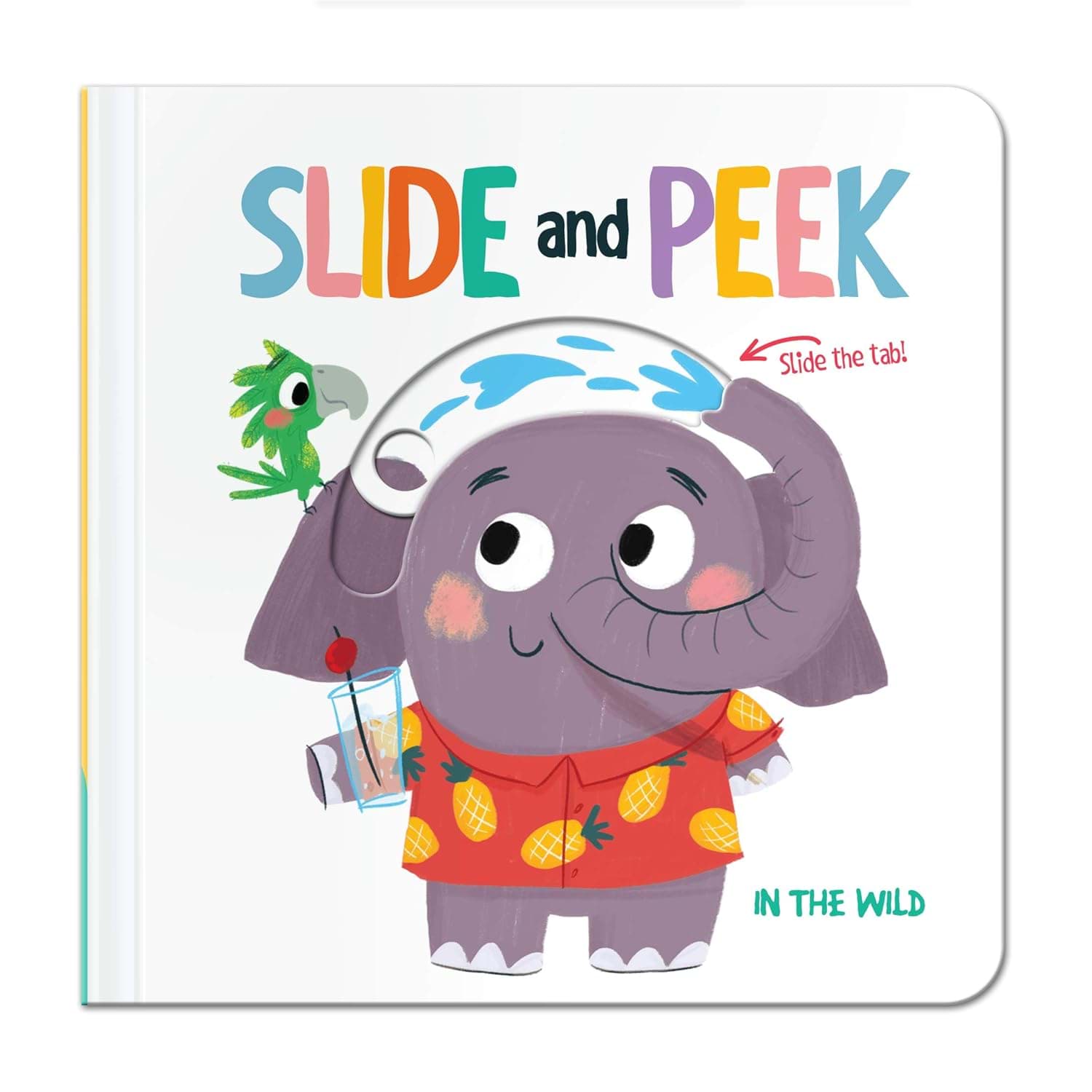 Slide and Peek in The Wild resmi