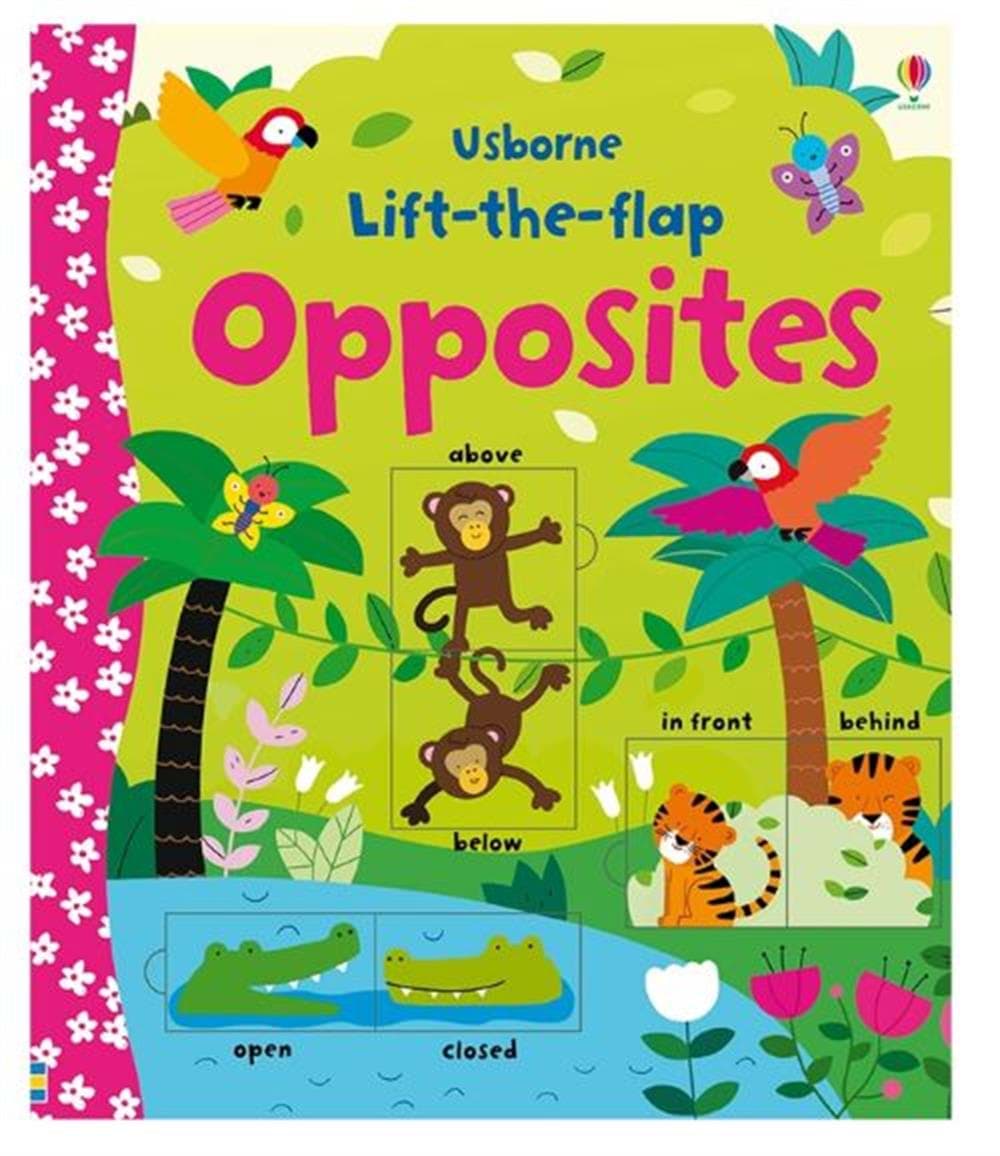 Lift The Flap Opposites resmi